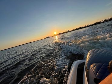 Fort Myers Beach Dolphins