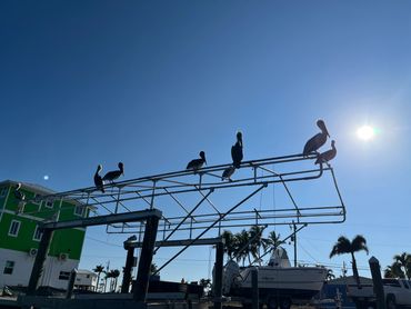 Cape Coral Jetski Rentals