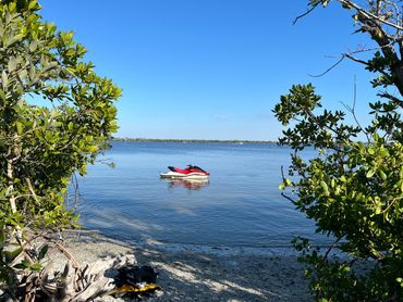 Cape Coral Dolphin Tour
