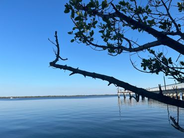 Matlacha Jetski Rentals