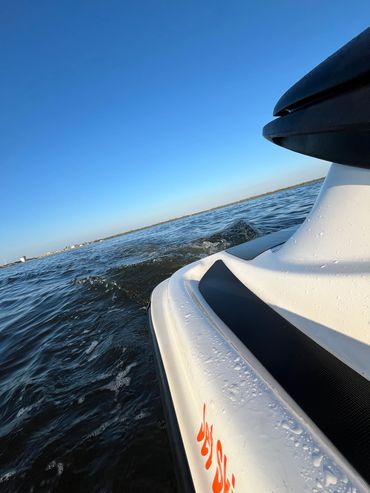 Matlacha Florida Dolphins