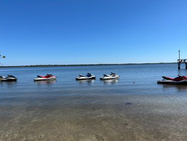 Cape Coral Jetski Dolphin