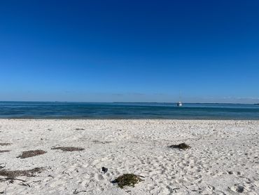 Punta Gorda Things to do