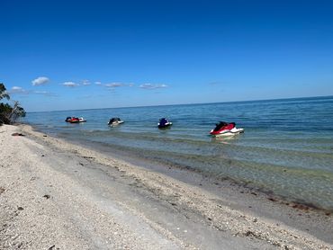 Punta Gorda Jetski Dolphin