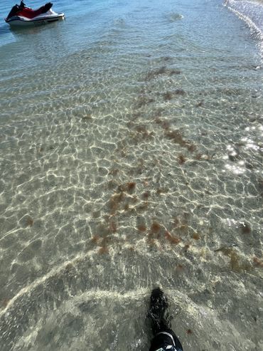 Cape Coral Guided Jet Ski Tours