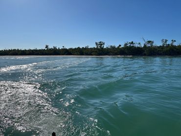 Fort Myers Things to do