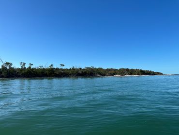 Fort Myers Guided Jetski Dolphin Tour