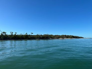 Fort Myers Guided Jetski Dolphin Tour