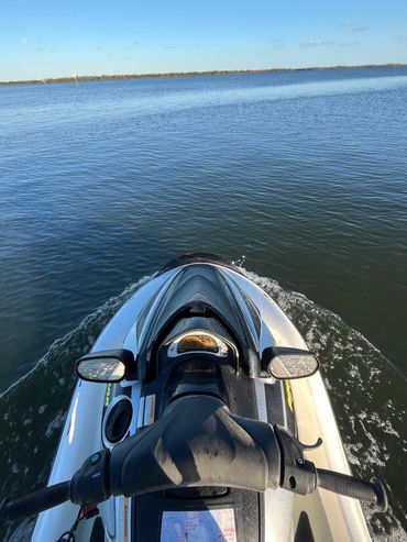 Punta Gorda Dolphin Tours