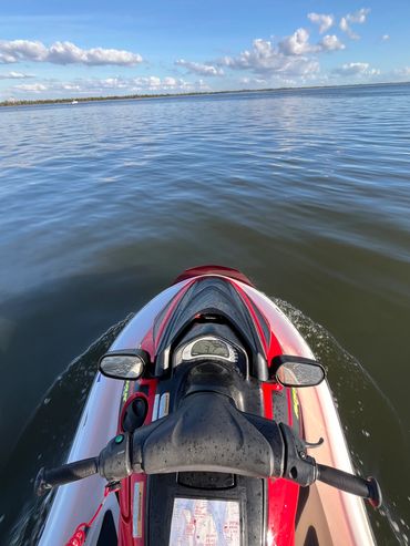 Fort Myers Beach Dolphins