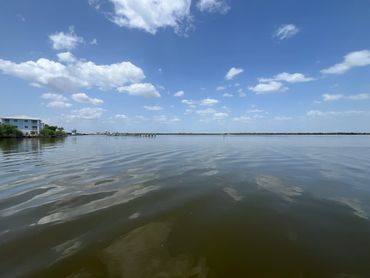 Cape Coral near me