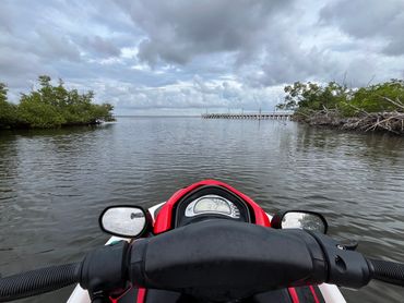 Cape Coral near me