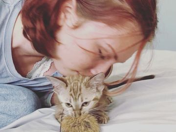 Sweet Bengal kitten in his new home. This Bengal kitten was for sale by Exotic Bengals of San Diego.