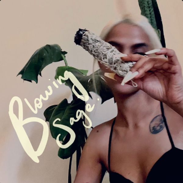 SHAMA - BLOWING SAGE