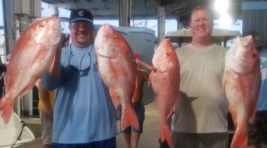 Two man looks at two fish lying in front of him