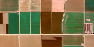 agricultura