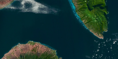 la palma