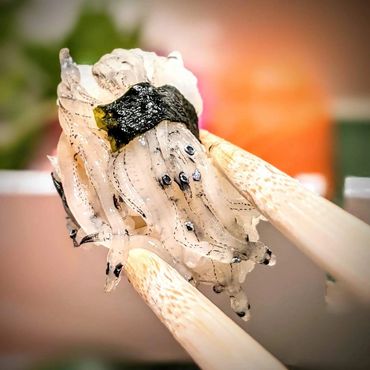 shira-uo ice fish nigiri wrapped with seaweed