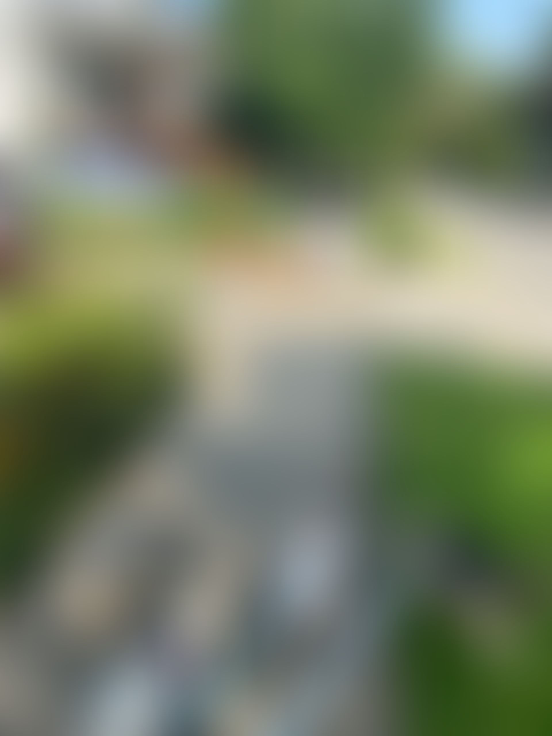 Wildes Doggy Daycare