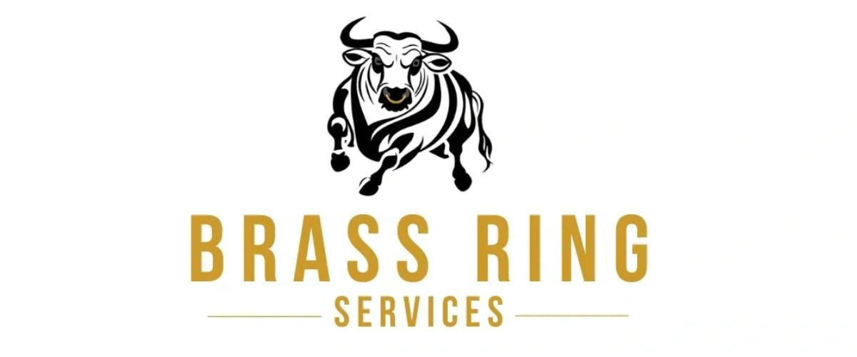Brass Ring Services, Inc.