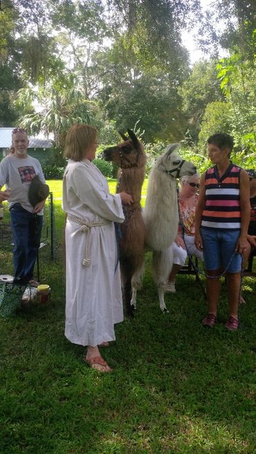 Floral City Dog Grooming