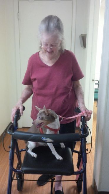 Floral City Animal Clinic