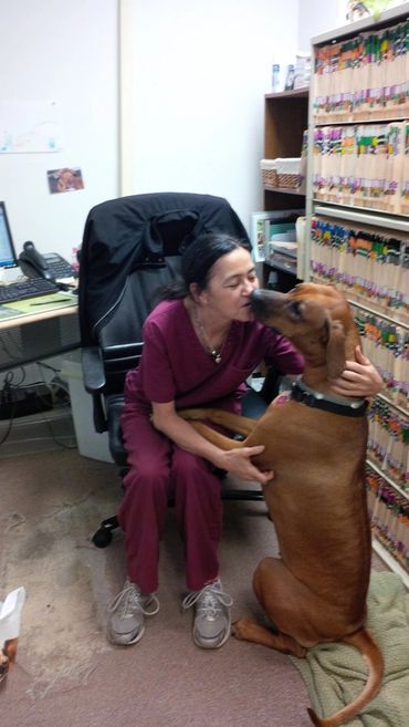 Floral City Animal Clinic