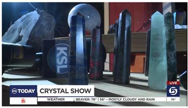 Educational geology displays featuring minerals, fossils, and crystals at Sandy Crystal Festival