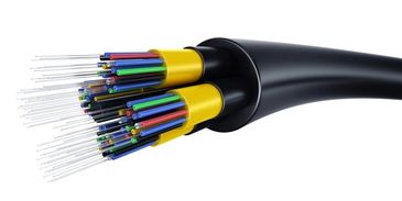 Fiber
