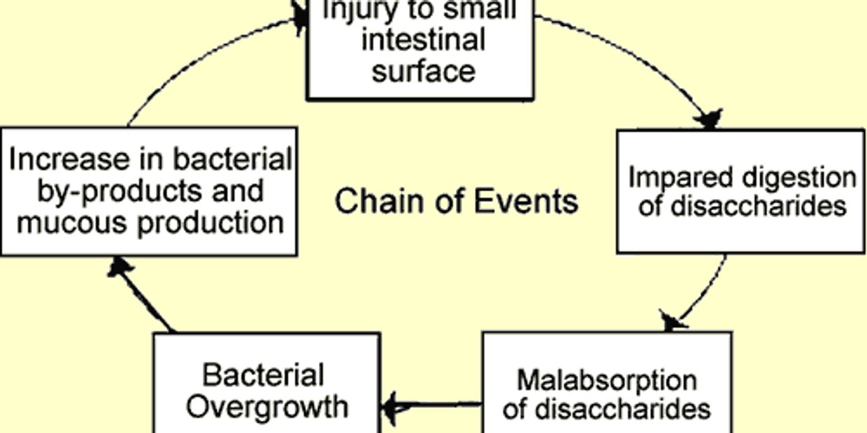 Specific Carbohydrate Diet
Breaking the Vicious Cycle
Elaine Gottschall