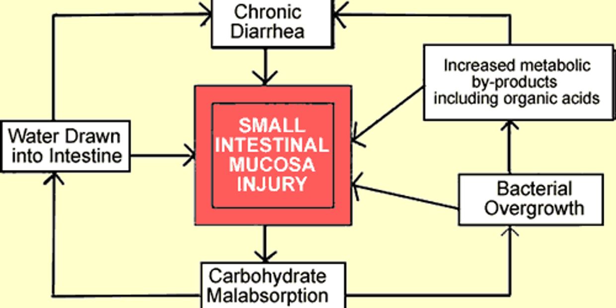 Specific Carbohydrate Diet
Breaking the Vicious Cycle
Elaine Gottschall