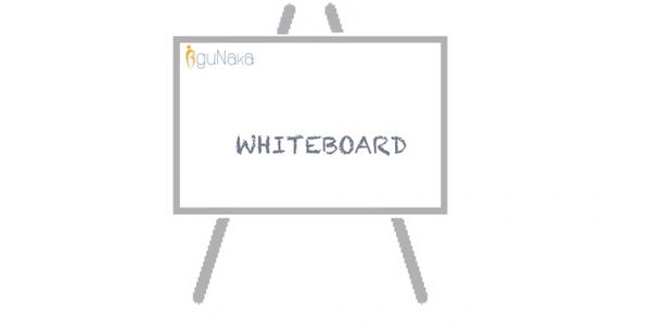 guNaka Whiteboard™ Software Product Management Workshops and Product Strategy workshops