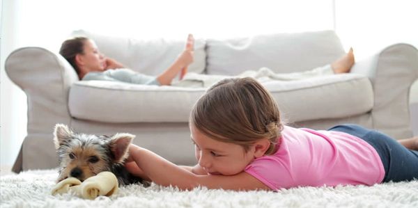 Carpet Cleaning Paso Robles