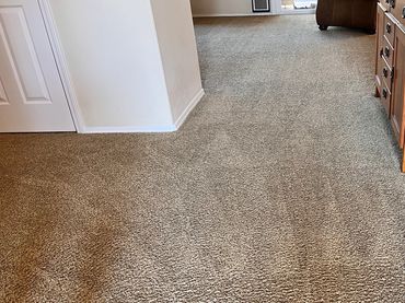 The best carpet cleaners in Paso Robles? Well, that's Green Rhino of course. Call Now!
