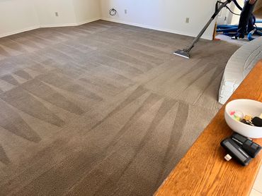 The best carpet cleaners in Paso Robles? Well, that's Green Rhino of course. Call Now!