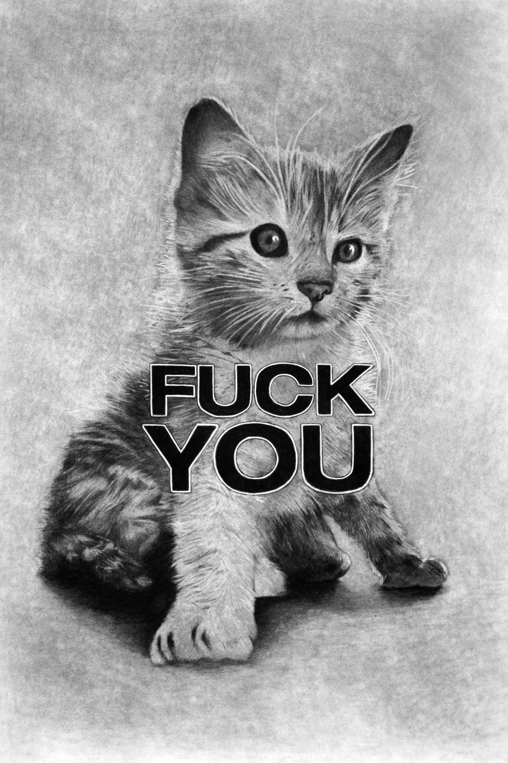 kitty with the words "fuck you" across its chest.