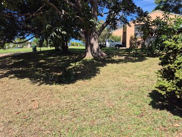 freshly mowed lawn for a client