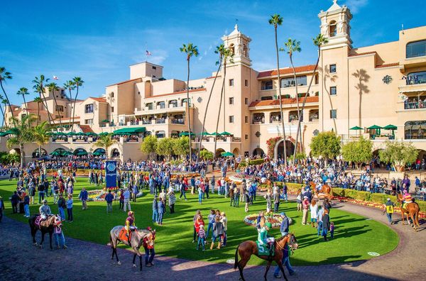Del Mar Racetrack | Costera Luxury Properties