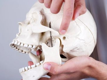 TMJ joint. 
Pain from TMJ joint