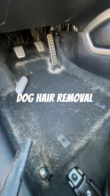 Dog hair removal service