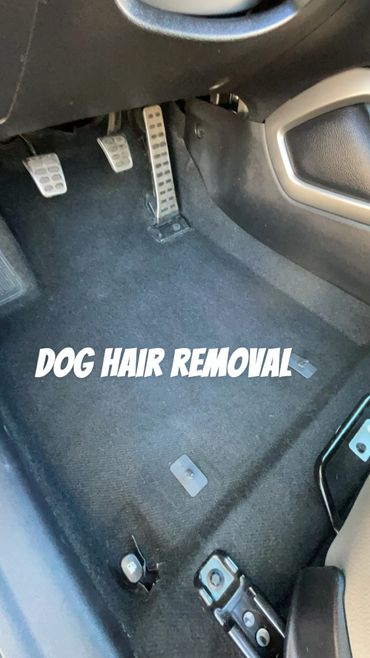 Dog hair removal service
