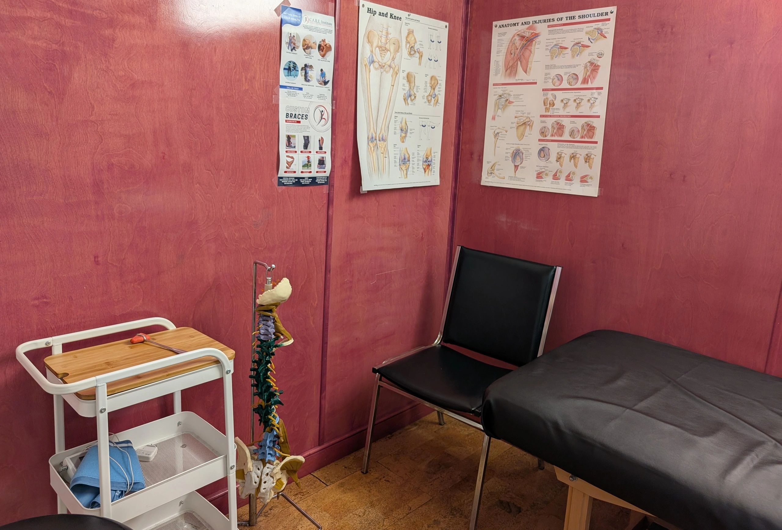 Medical examination room with anatomy posters and spine model.