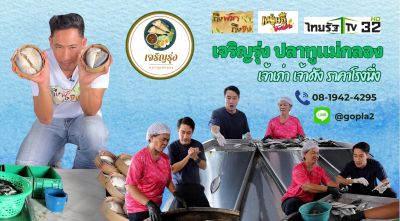นำเสนอภูมิปัญญากรรมวิธีนึ่งปลาทูด้วยเตาฟืนผ่านสื่อรายการทีวี