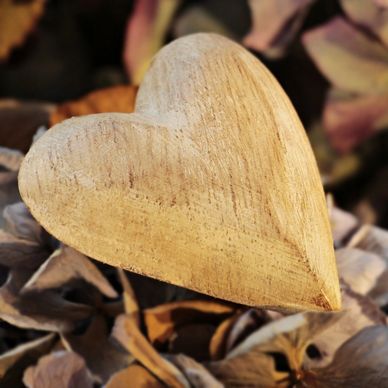 Wood carved into heart shape. Decorative.
