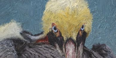 Funny and Fierce Brown Pelican