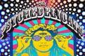 The Psychedelicats  - 60s psych rock tribute/ 60s party band