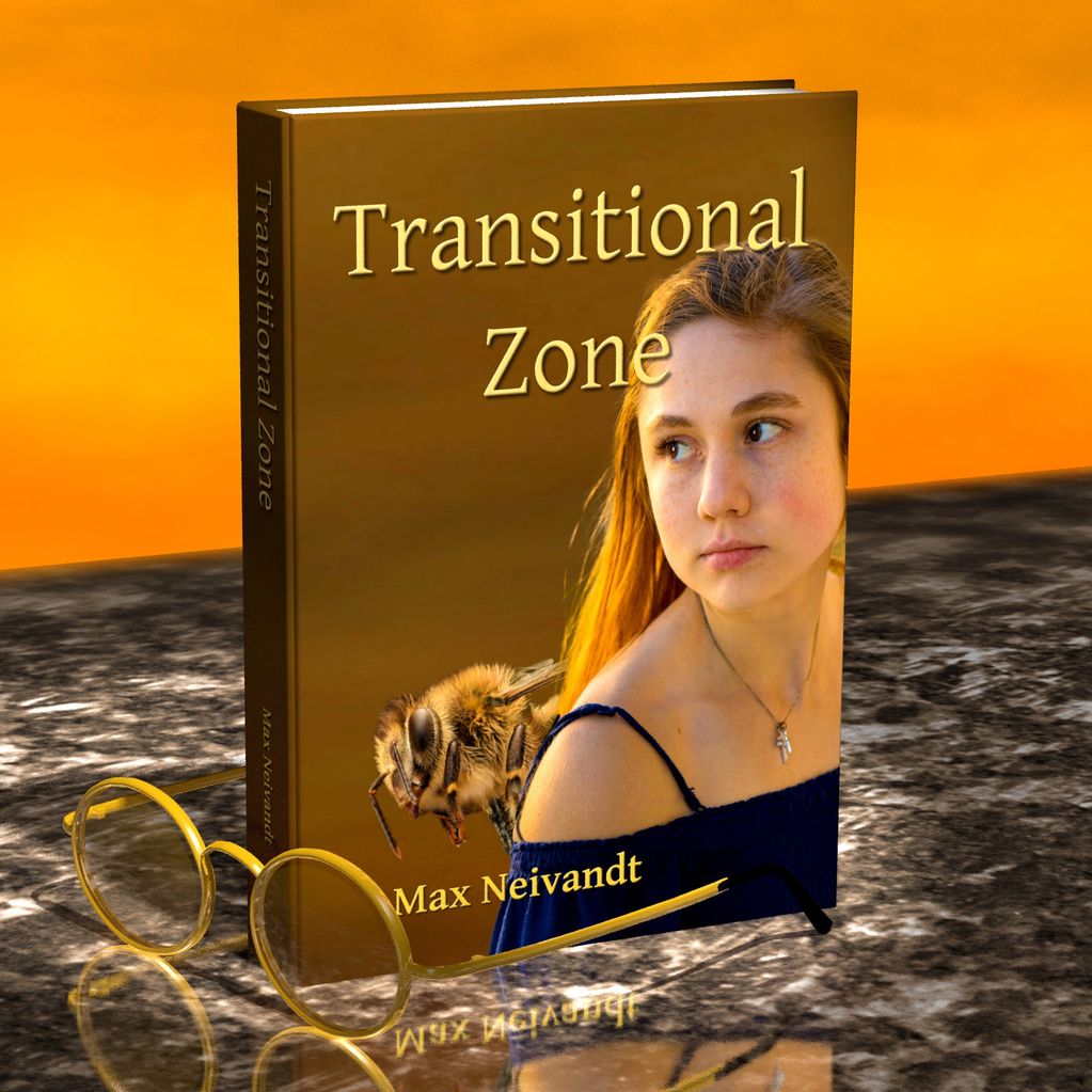 Transitional Zone