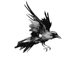 death doula, crow, end of life, training, blackbird, caregiver 