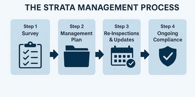 Strata asbestos management process infographic – survey, management plan, re-inspections, compliance