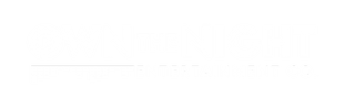 Own the Night Entertainment Co.